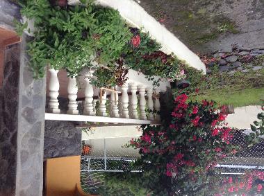 Chalet �/en/au Volcan (Chiriqui)ou appartement ou maison de vacances