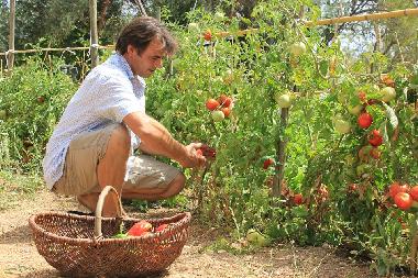 Maison de vacances �/en/au Quelfes (Algarve)ou appartement ou maison de vacances