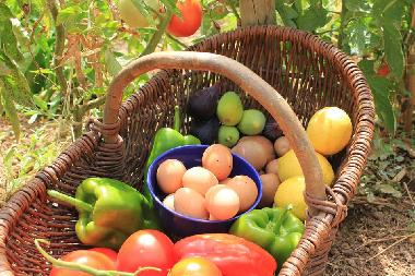 Maison de vacances �/en/au Quelfes (Algarve)ou appartement ou maison de vacances