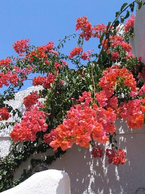 Villa /en/au Calafat (Tarragona)ou appartement ou maison de vacances