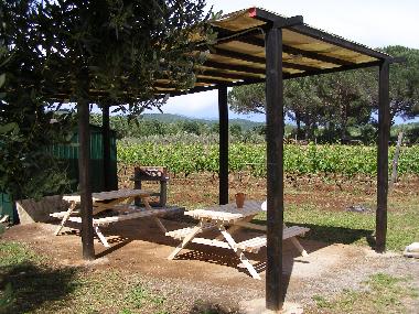 Villa /en/au Gavorrano (Grosseto)ou appartement ou maison de vacances