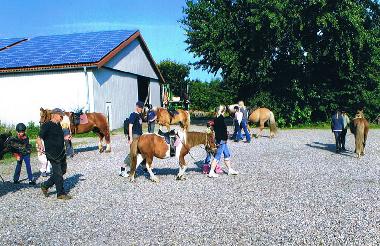 Appartement de vacances /en/au Dagebll (Nordsee-Festland)ou appartement ou maison de vacances