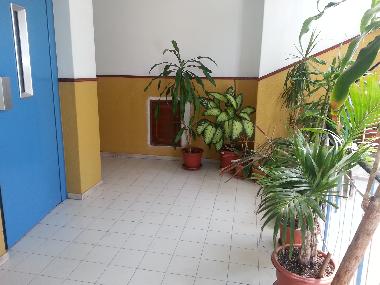 Appartement de vacances /en/au Faro (Algarve)ou appartement ou maison de vacances