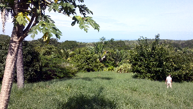 Maison de vacances �/en/au Puerto Coyote (Guanacaste)ou appartement ou maison de vacances