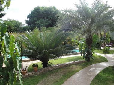 Maison de vacances �/en/au Paraguachi (Nueva Esparta)ou appartement ou maison de vacances