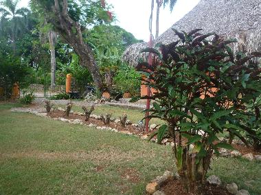 jardin de labellaventura