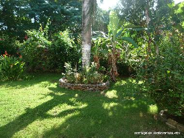 le jardin tropical 