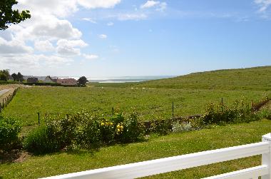 Jardin, environnement calme et tranquille