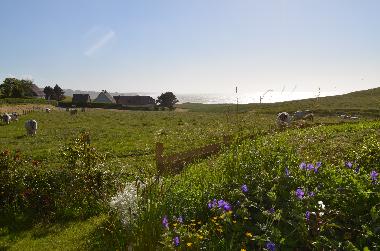 Vue sur la prairie, et la mer