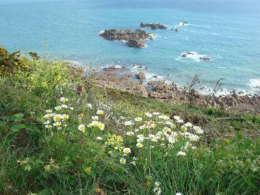 Les chemins de randonn�e