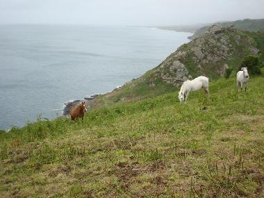 Au bas du village � 100 m�tres