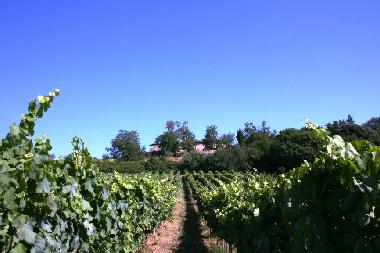 Maison de vacances �/en/au Gambassi terme (Firenze)ou appartement ou maison de vacances