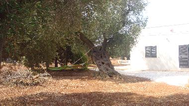 Maison de vacances �/en/au serranova (Brindisi)ou appartement ou maison de vacances