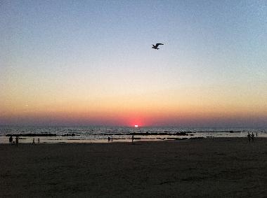 Chalet /en/au CHIPIONA (Cdiz) (Cdiz)ou appartement ou maison de vacances