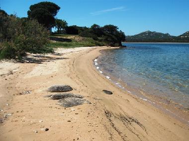 Maison de vacances /en/au Baja Sardinia (Sassari)ou appartement ou maison de vacances
