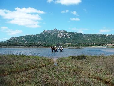Maison de vacances /en/au Baja Sardinia (Sassari)ou appartement ou maison de vacances