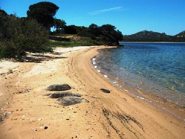 Maison de vacances /en/au Baja Sardinia (Sassari)ou appartement ou maison de vacances