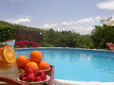 Maison de vacances /en/au Villanueva de la Concepcion (Mlaga)ou appartement ou maison de vacances