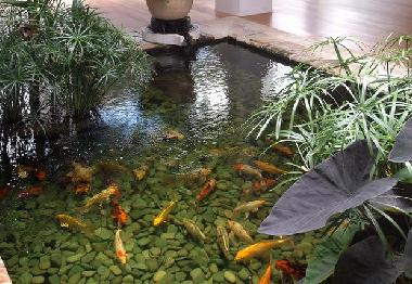 Villa �/en/au Saint James (Saint James)ou appartement ou maison de vacances