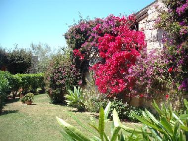 Maison de vacances /en/au Baja Sardinia (Olbia-Tempio)ou appartement ou maison de vacances