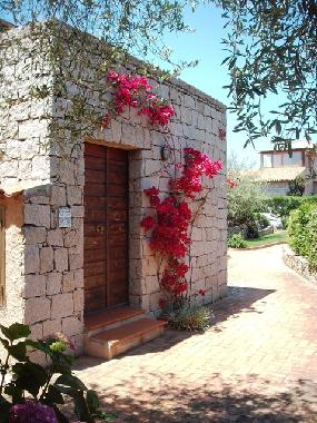Maison de vacances /en/au Baja Sardinia (Olbia-Tempio)ou appartement ou maison de vacances