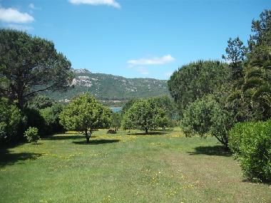 Maison de vacances /en/au Baja Sardinia (Olbia-Tempio)ou appartement ou maison de vacances