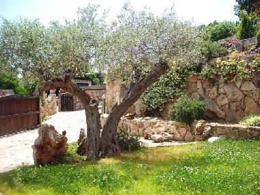 Maison de vacances �/en/au Baja Sardinia (Olbia-Tempio)ou appartement ou maison de vacances