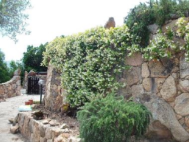 Maison de vacances �/en/au Baja Sardinia (Olbia-Tempio)ou appartement ou maison de vacances