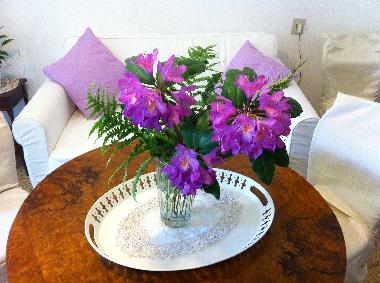 Maison de vacances �/en/au Benabbio (Lucca)ou appartement ou maison de vacances