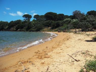 Maison de vacances /en/au Baja Sardinia (Olbia-Tempio)ou appartement ou maison de vacances