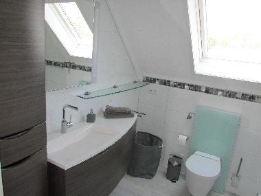 Maison de vacances /en/au Lemmer (Friesland)ou appartement ou maison de vacances