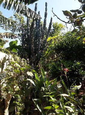 Maison de vacances �/en/au la boca trinidad (Sancti Spiritus)ou appartement ou maison de vacances