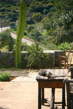 Appartement de vacances �/en/au Agios Nikolaos (Lasithi)ou appartement ou maison de vacances