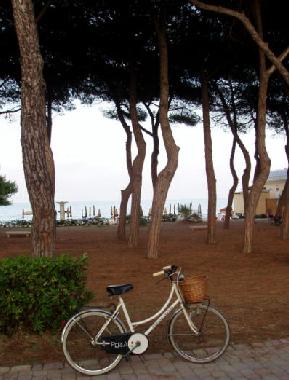 Appartement de vacances /en/au Pineto (Teramo)ou appartement ou maison de vacances