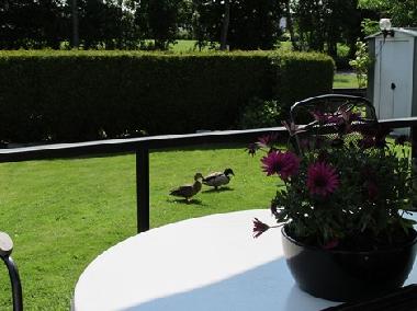 Chalet /en/au Lemmer (Friesland)ou appartement ou maison de vacances