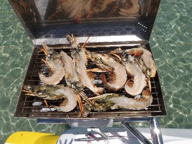 Appartement de vacances �/en/au Trou aux Biches (Pamplemousses)ou appartement ou maison de vacances