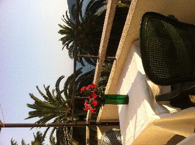 Appartement de vacances �/en/au Herceg Novi (Mont�n�gro)ou appartement ou maison de vacances