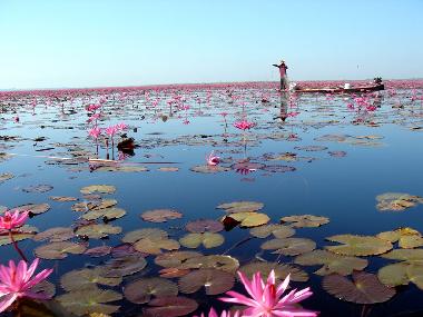 Maison de vacances �/en/au Udon Thani (Udon Thani)ou appartement ou maison de vacances