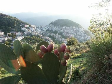 Maison de vacances /en/au Bafia Castroreale (Messina)ou appartement ou maison de vacances