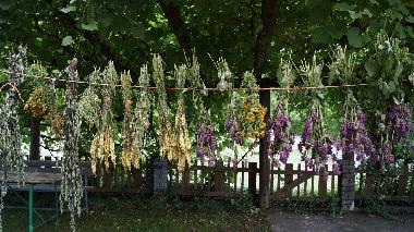 Appartement de vacances /en/au St.Kanzian (Unterkrnten)ou appartement ou maison de vacances