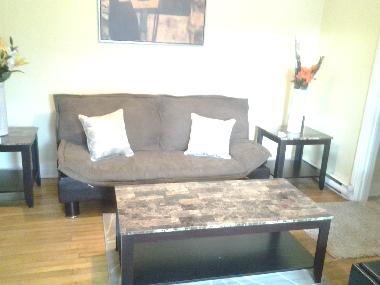 Beau salon avec Canap�-lit deux places