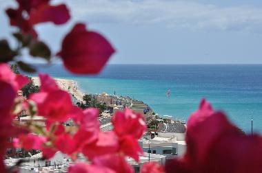 Appartement de vacances /en/au Morro Jable (Fuerteventura)ou appartement ou maison de vacances