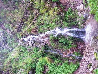 Appartement de vacances /en/au grardmer (Vosges)ou appartement ou maison de vacances