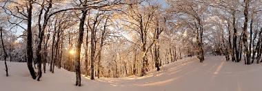 Appartement de vacances /en/au grardmer (Vosges)ou appartement ou maison de vacances