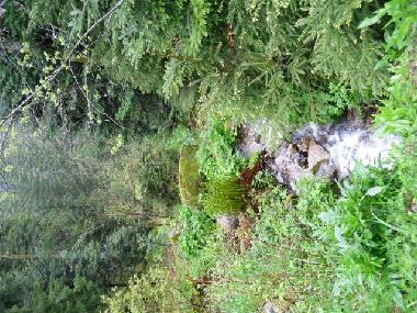 Appartement de vacances /en/au grardmer (Vosges)ou appartement ou maison de vacances