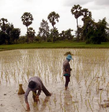 Villa �/en/au Udon Thani (Udon Thani)ou appartement ou maison de vacances