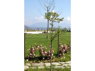 Appartement de vacances �/en/au Meina  (Novara)ou appartement ou maison de vacances