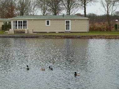 Chalet �/en/au Hoge Hexel (Overijssel)ou appartement ou maison de vacances