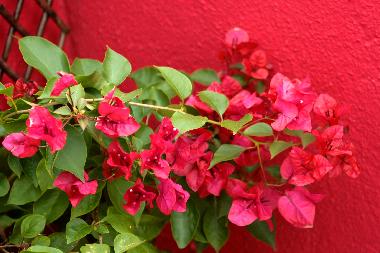 Appartement de vacances /en/au Lisboa (Grande Lisboa)ou appartement ou maison de vacances