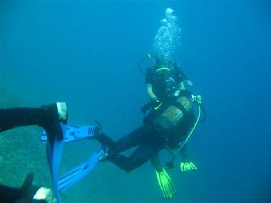 Appartement de vacances �/en/au Marina del Cantone (Napoli)ou appartement ou maison de vacances